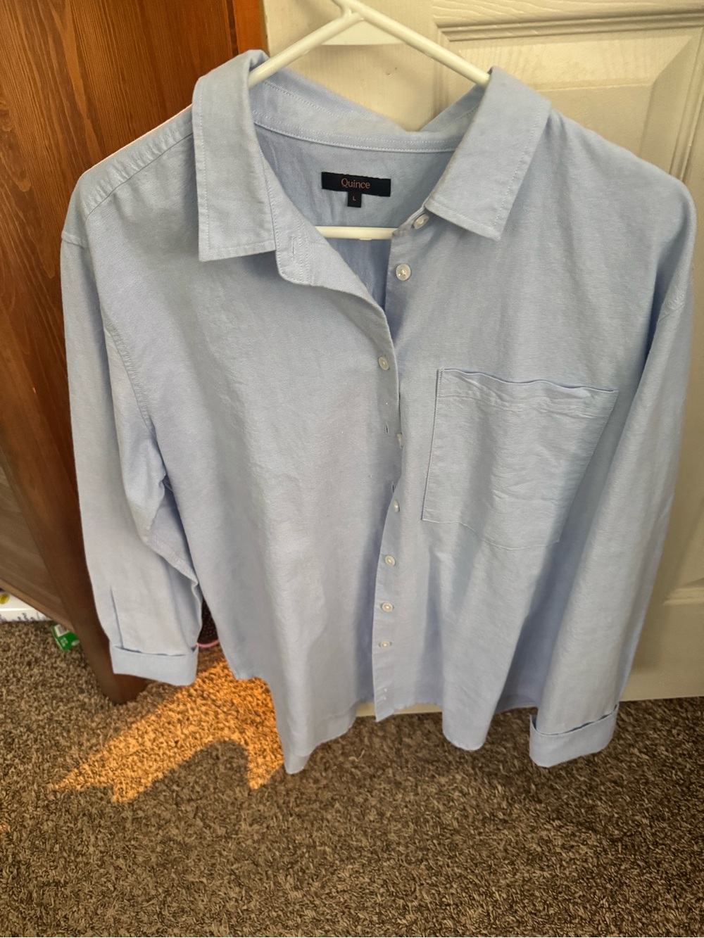 Quince Pale Blue Casual Button-Down Shirt